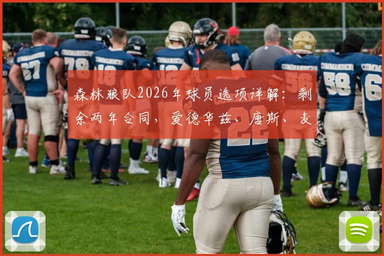森林狼队2026年球员选项详解:剩余两年合同,爱德华兹、唐斯、麦克丹尼尔斯谁会跳出?附薪资空间与未来分析
