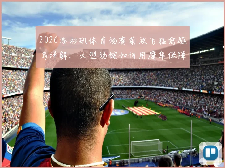 2026洛杉矶体育场赛前放飞猛禽驱鸟详解：大型场馆如何用鹰隼保障航空安全与赛事顺利