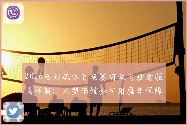 2026洛杉矶体育场赛前放飞猛禽驱鸟详解：大型场馆如何用鹰隼保障航空安全与赛事顺利